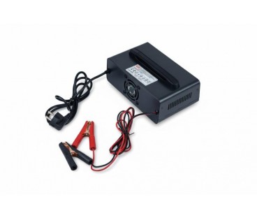Prostownik Smart Volt Polska 12V/24V 15A A20 Black