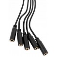 Shelly Splitter 1 to 5 - 3.5mm jack