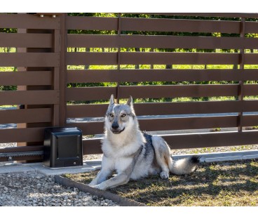 Zestaw Beninca KWOLF424.P2 24V do 450kg bram przesuwnych | Alarmista.pl