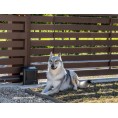Zestaw Beninca KWOLF624.P2 24V do 600kg bram przesuwnych