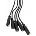Shelly Splitter 1 to 5 - 3.5mm jack