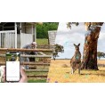 Kamera IP Ezviz EB8 PRO 4G Ranger Kit 8MP z panelem słonecznym 8W 4G Wi-Fi moro
