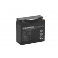 Akumulator AGM EUROPOWER serii EV 12V 20Ah/C10