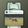 Fotopułapka Reolink Camovue 8MP LTE Talon Series S130