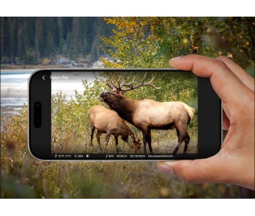 Fotopułapka Reolink Camovue 8MP LTE Talon Series S130