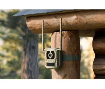 Fotopułapka Reolink Camovue 8MP LTE Talon Series S130