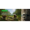 Fotopułapka Reolink Camovue 8MP LTE Talon Series S130