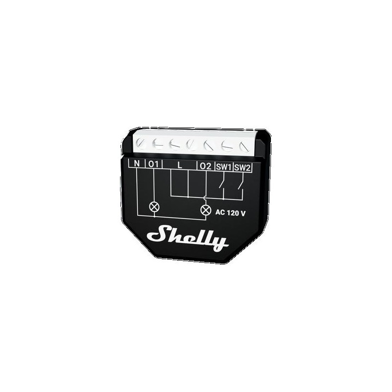 Shelly Qubino Wave 2PM