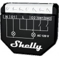 Shelly Qubino Wave 2PM