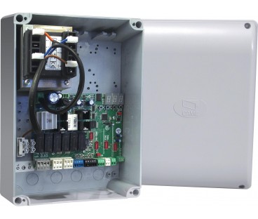Zestaw CAME ATS 50DGM 24V SAFE LONG SPACE | Alarmista.pl