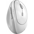 Mysz bezprzewodowa Genius Ergo 8350S biała, 2400DPI