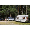 Fotopułapka - Kamera leśna - Orllo Huntercam 6 SIM z zasilaniem solarnym