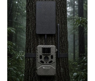 Fotopułapka - Kamera leśna - Orllo Huntercam 6 SIM z zasilaniem solarnym