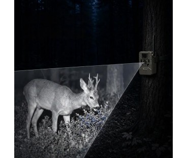 Fotopułapka - Kamera leśna - Orllo Huntercam 6 SIM z zasilaniem solarnym