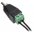 WTYK (RCA) CINCH-W/S