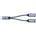 Unitek Adapter USB-C na 2 x port USB-C audio i 18W