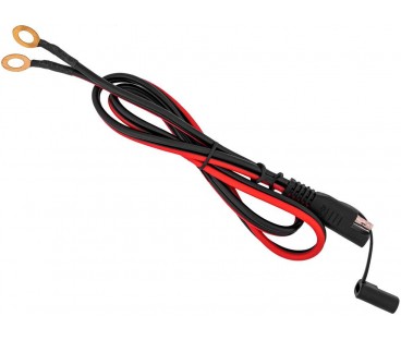 Prostownik Volt Polska do akumulatorów LiFePO4 12V 30A