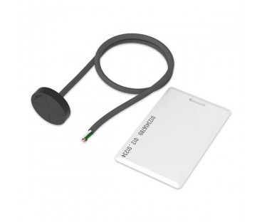 Teltonika 1-Wire Rfid | Czytnik I Karta Rfid | Kabel 40Cm