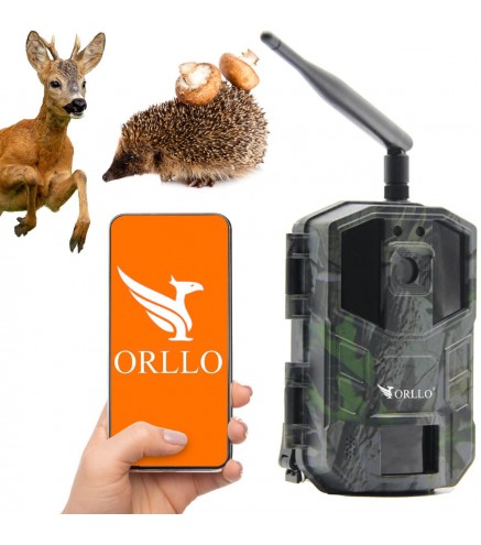 Kamera Leśna Orllo Huntercam 3 Gsm Fotopułapka