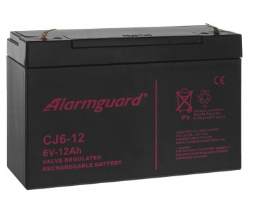 Akumulator 12Ah/6V Cj6-12 T1