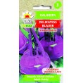 Toraf Nasiona Warzyw | Kalarepa Delikatess Blauer | Opakowanie 2G
