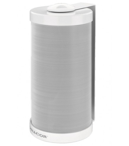Esp-315/ws - Głośnik Naścienny 15W
