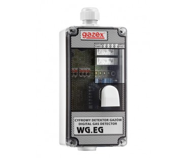 Cyfrowy Detektor Tlenku Węgla Wg-22.eg