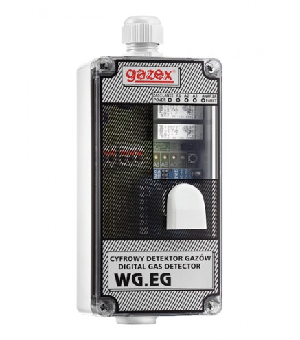 Cyfrowy Detektor Tlenku Węgla Wg-22.eg