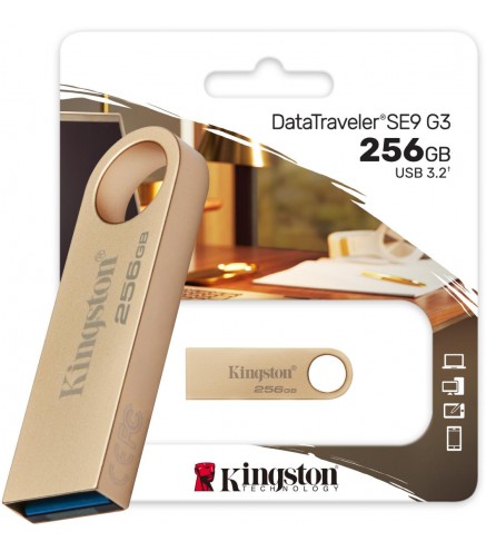 Pendrive Kingston Data Traveler Dtse9G3 256Gb Usb3.2 Gen1