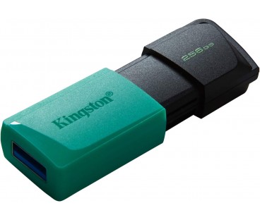 Pendrive Kingston Data Traveler Exodia M 256Gb Usb3.2 Gen1