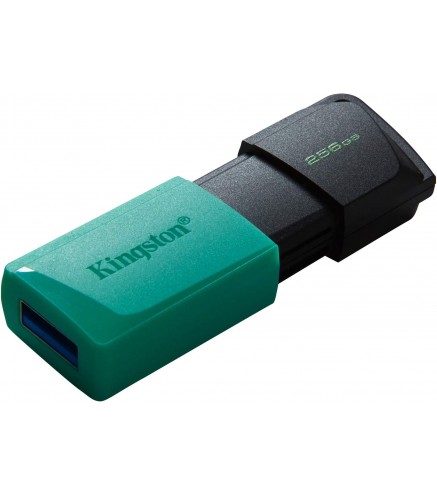 Pendrive Kingston Data Traveler Exodia M 256Gb Usb3.2 Gen1