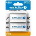 Akumulatorki D / R20 Ni-Mh Everactive 10000Mah Professional Line (Box 2 Szt.)